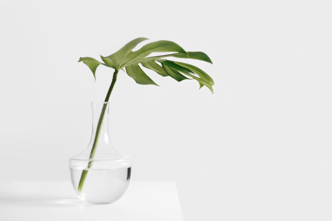 Microcement: En Moderne Løsning til Dit Hjem
